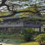 Landscape Planning