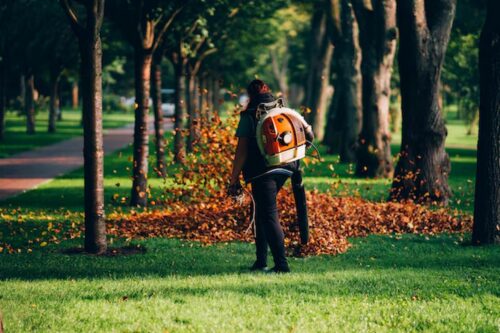 3 Services to Improve the Health of Your Garden